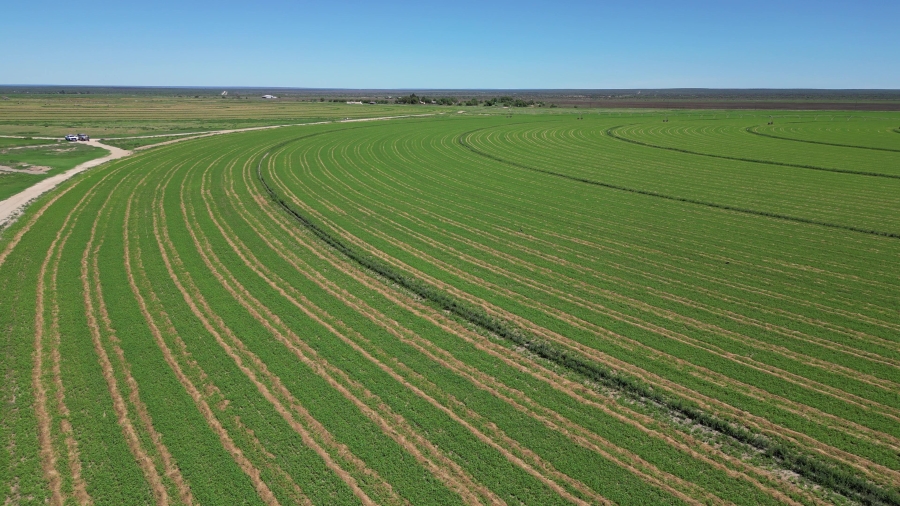 0 Bedroom Property for Sale in Douglas Rural Northern Cape